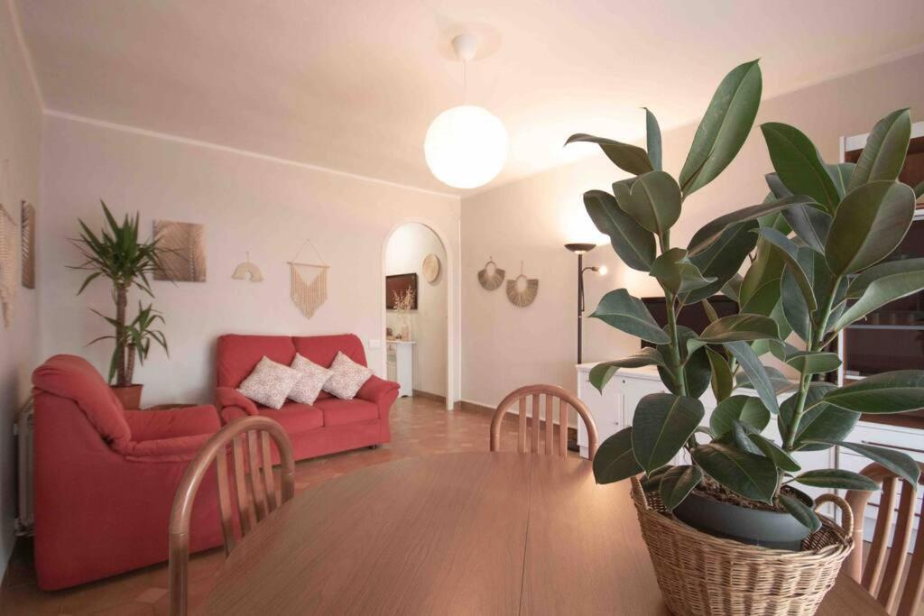 Lc Apartaments Av Del Mar カステリョン・デ・ラ・プラナ エクステリア 写真